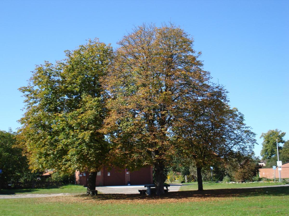 De Luet Ferienhof Jameln Luaran gambar