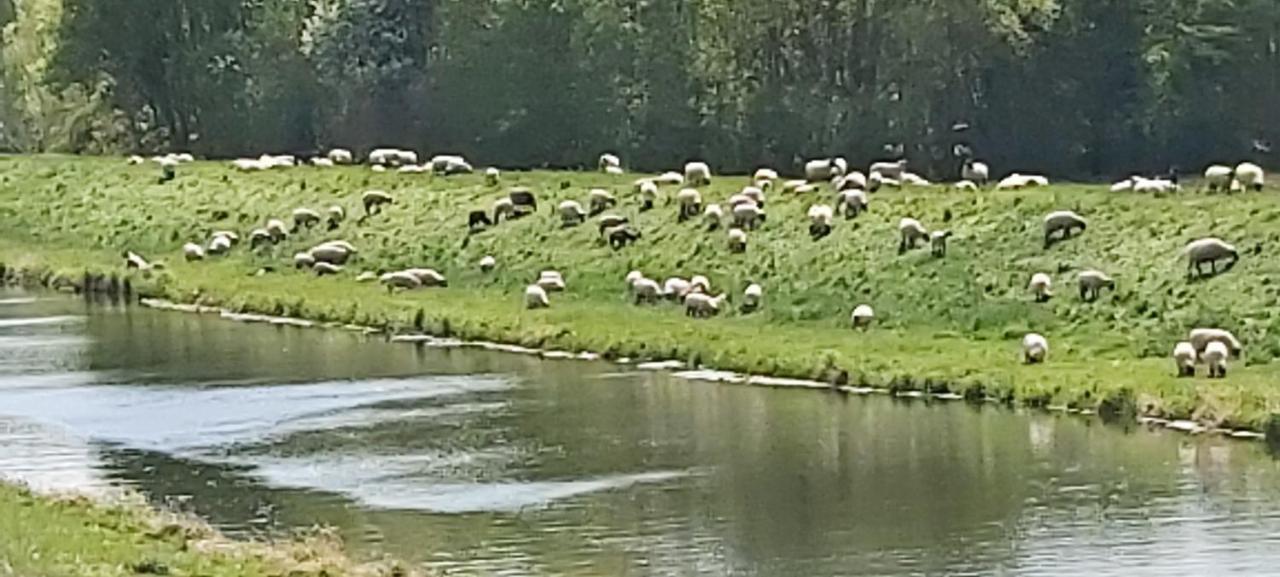 De Luet Ferienhof Jameln Luaran gambar