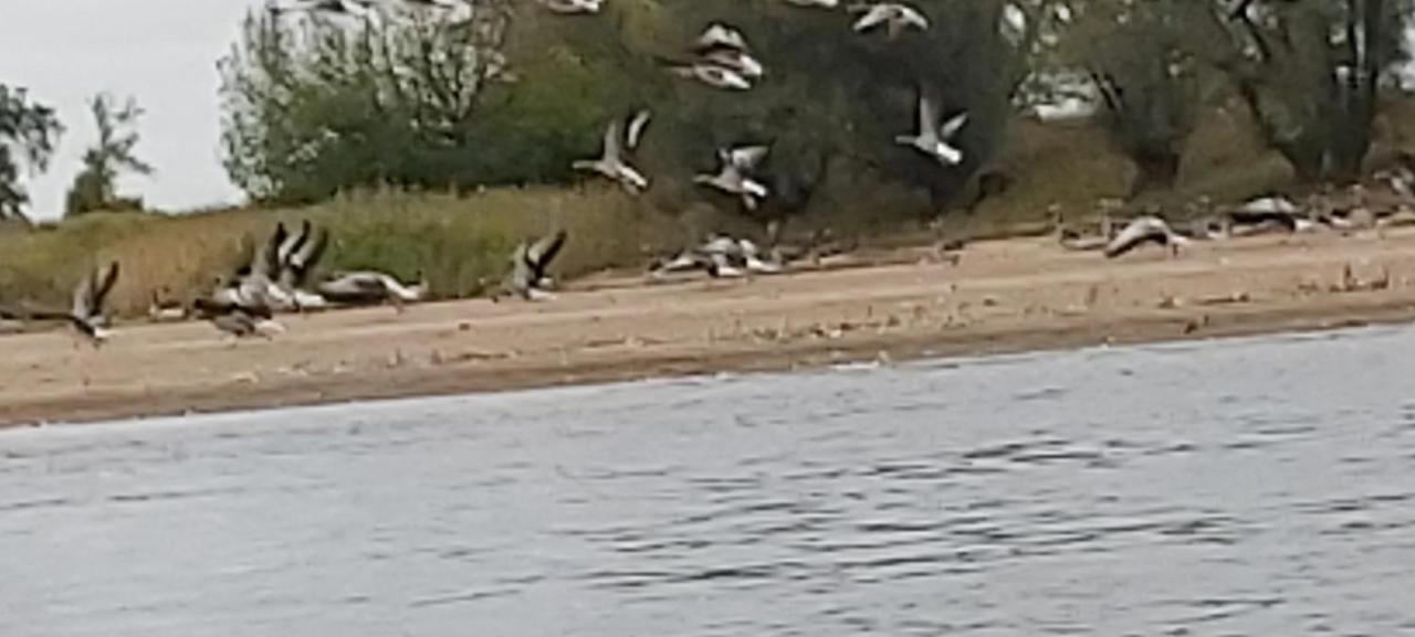 De Luet Ferienhof Jameln Luaran gambar