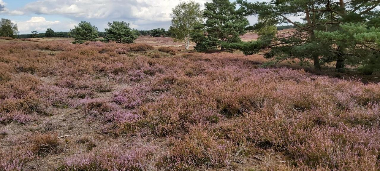 De Luet Ferienhof Jameln Luaran gambar
