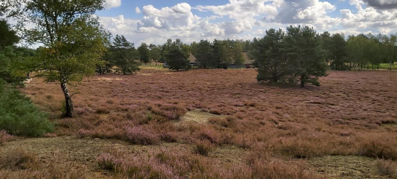 De Luet Ferienhof Jameln Luaran gambar